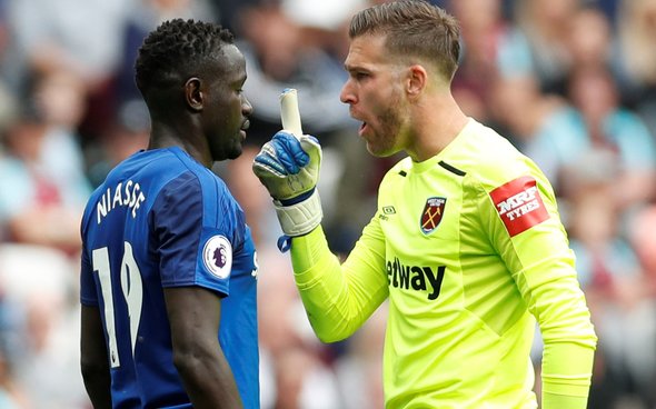 Image for Adrian and Fabianski to battle for No.1 jersey