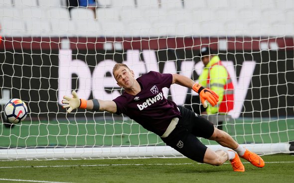 Image for Hoddle comments proves why Hart should not be signed