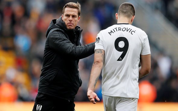 Image for Mitrovic will let Fulham decide his future