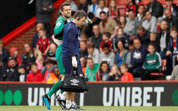 Image for Fabianski 80/20 to have surgery