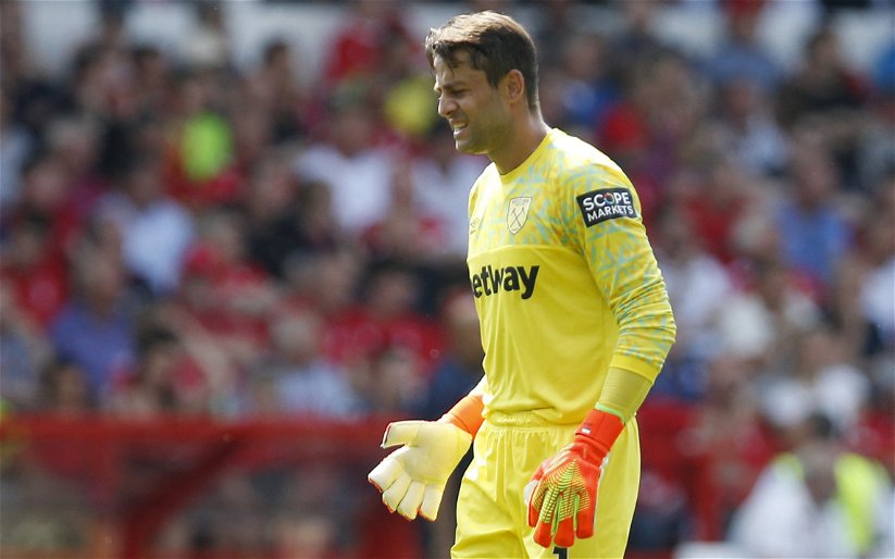 Image for West Ham could sell Lukasz Fabianski in search of “fresh blood”